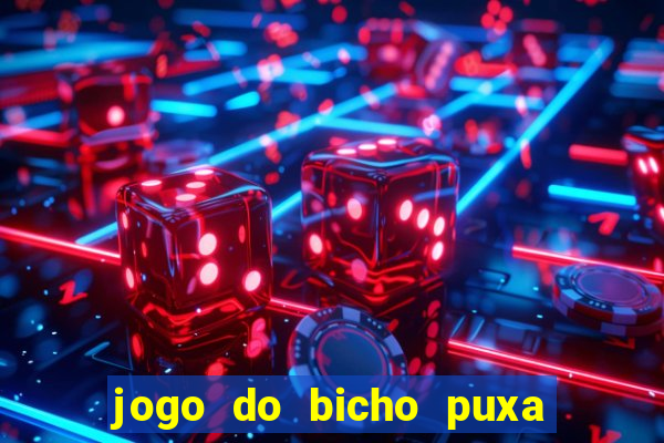 jogo do bicho puxa de dona maria